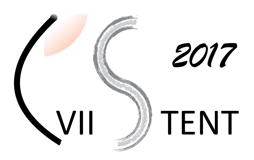 CVII STENT'17