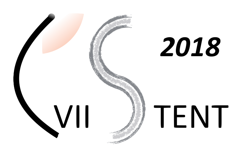 CVII STENT'17