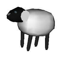 sheep.jpg