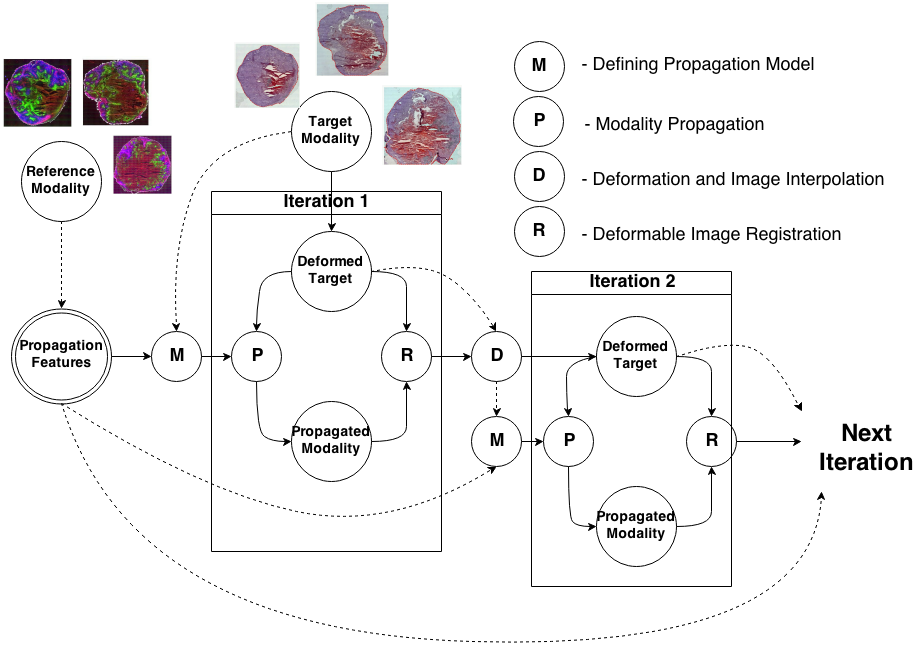 Knowledge Propagation Models for Image Registration