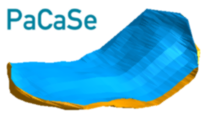 Semi-Automatic Patellar Cartilage Segmentation