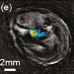 msot_chemRev2010.jpg