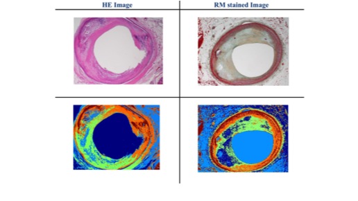 histology.jpg