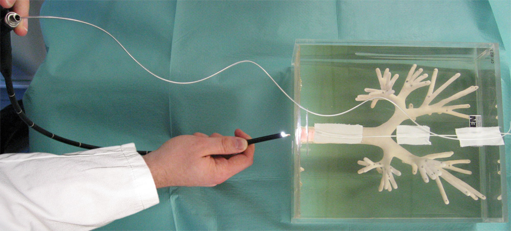 System Setup for Navigated Bronchoscopy