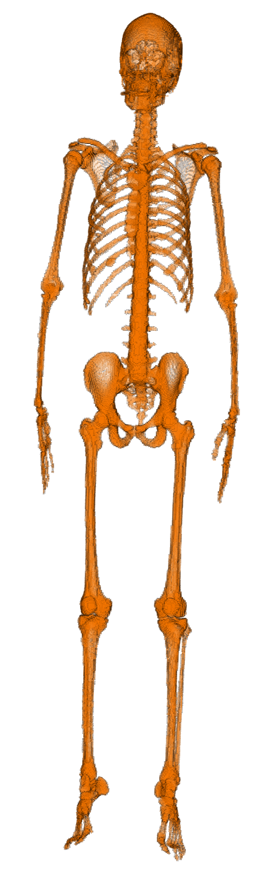 figure.png