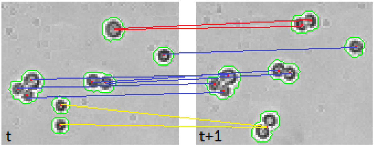 FigureStemCellTracking.png